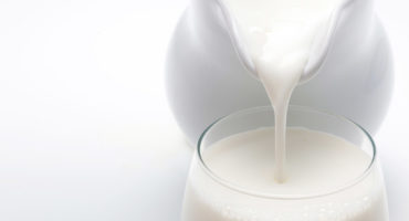 Modélisation et développement d’outils pour l’écoconception d’un procédé de concentration en industrie laitière : cas de l’évaporation du lait
