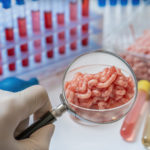 Scientist is testing and inspecting meat for germs_Shutterstock_2020