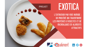 Projet EXOTICA
