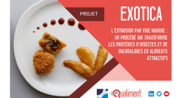 Projet EXOTICA - Carte postale